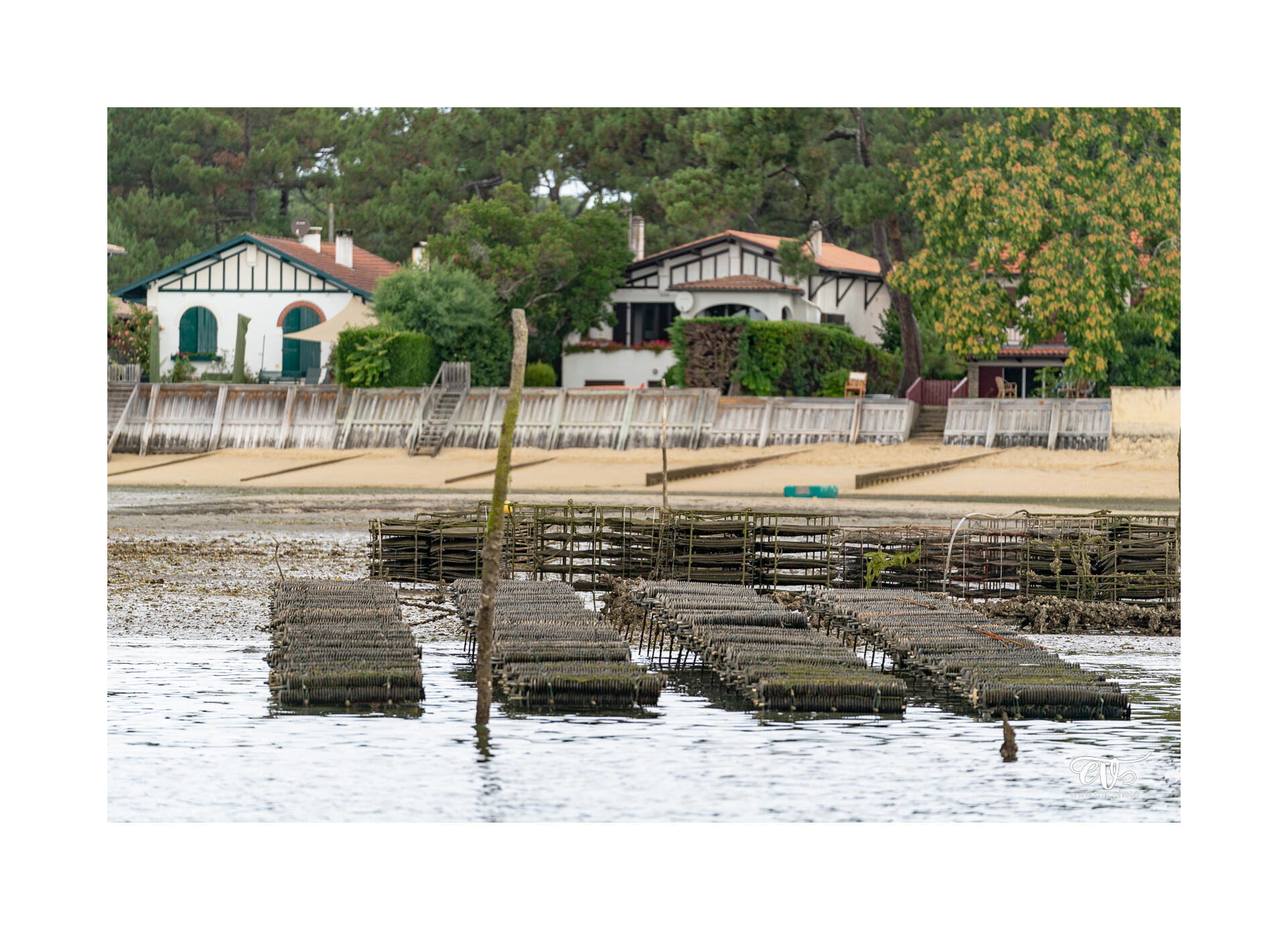 CARNET DE VOYAGES : BORDEAUX, ARCACHON