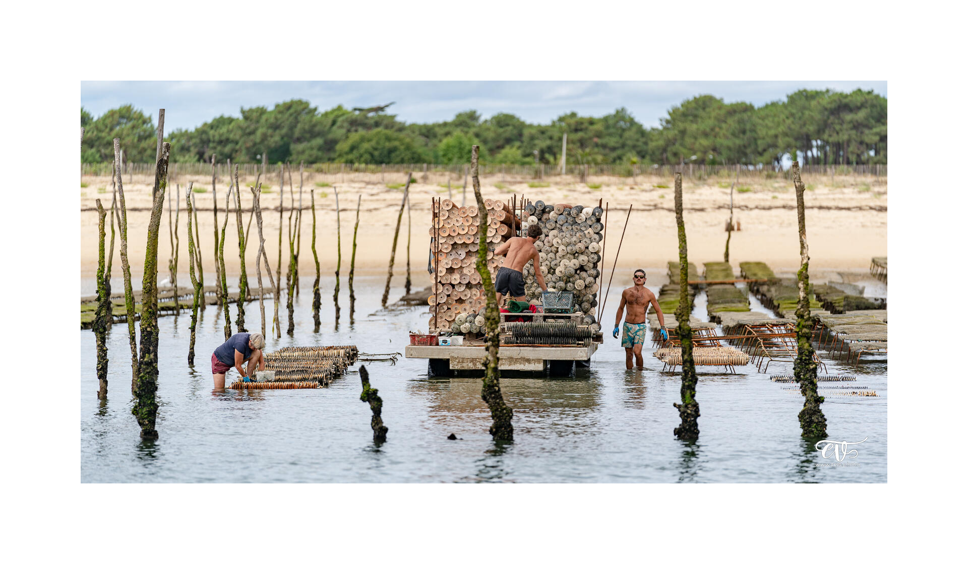 CARNET DE VOYAGES : BORDEAUX, ARCACHON
