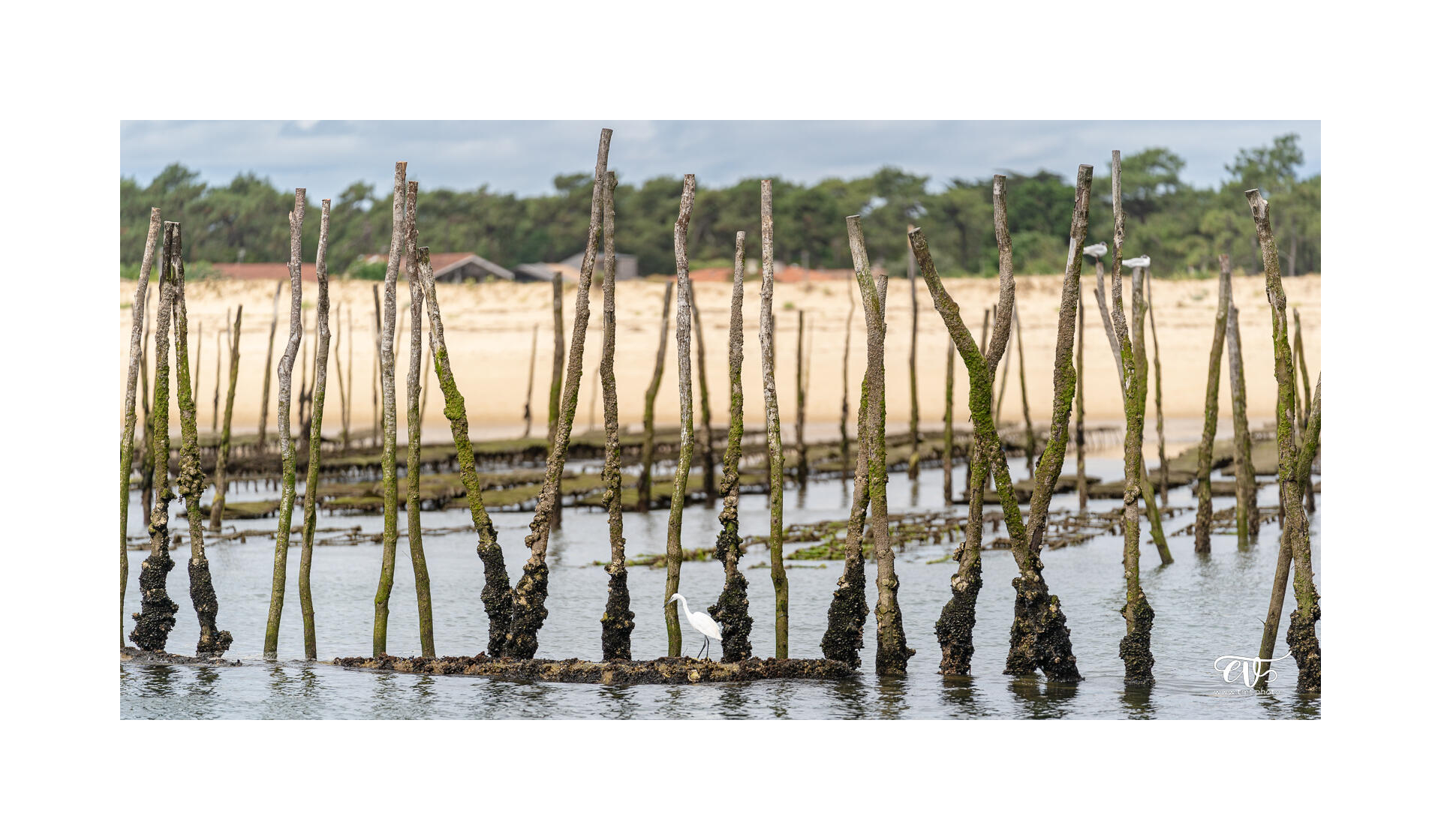 CARNET DE VOYAGES : BORDEAUX, ARCACHON