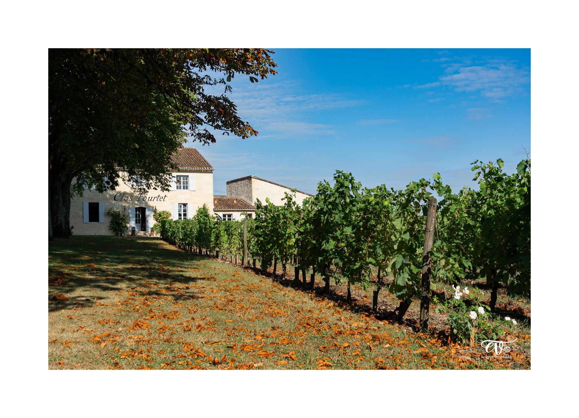 CARNET DE VOYAGES : BORDEAUX, ARCACHON