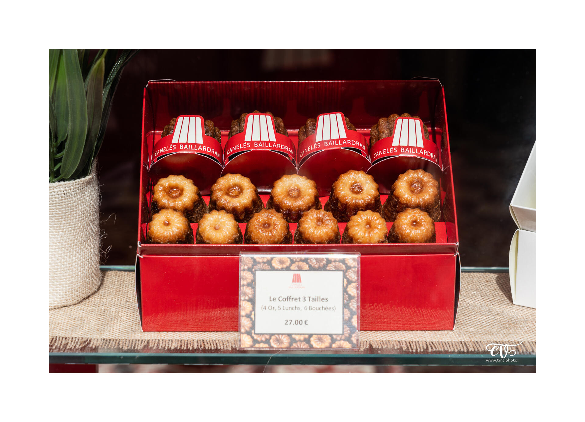 CARNET DE VOYAGES : BORDEAUX, ARCACHON