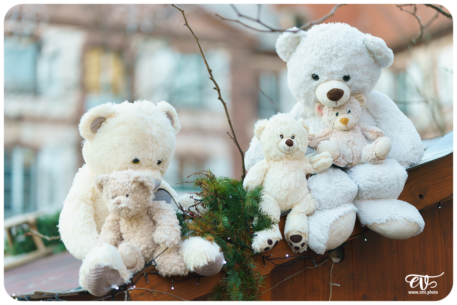 TMTPHOTO HAGUENOËL2024 007